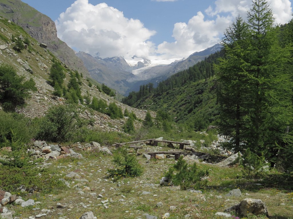 T - Near Stafel looking down valley towards Zmutt